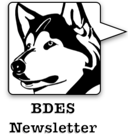 BDES